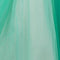 Aqua