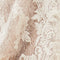 Ivory/Ivory/Nude/Silver