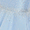 Blue/Silver