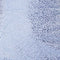 Periwinkle