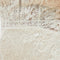 Ivory/Almond/Nude