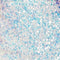 White Multi