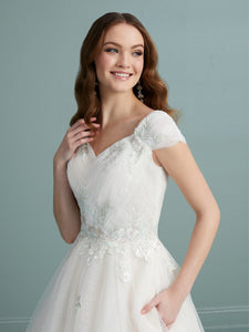 Lace And Tulle A-Line Gown In Ivory/Pale Blush/Multi In Ivory Ivory