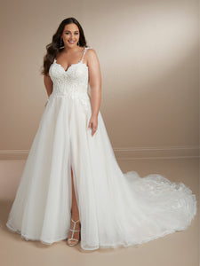 Lace And Tulle A-Line Gown In Ivory/Almond In Ivory Ivory